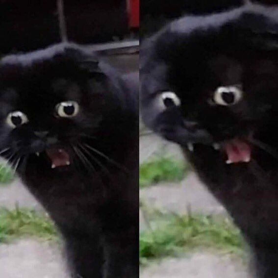 ahhh.jpg